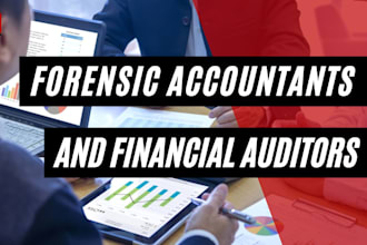 review and perform forensic accounting, financial audits, and investigate fraud