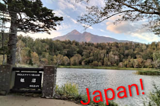 help you with your business in japan