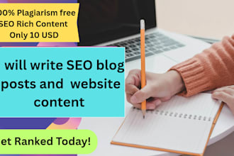 write seo blog posts and website content