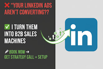 do high converting linkedin ads and strategy call b2b b2c