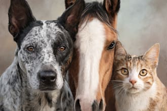 draw realistic digital pet portrait dog, cat, horse