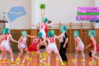 provide accurate data annotation, image labeling and segmentation for ai model