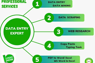 do detail oriented data entry specialist for any project