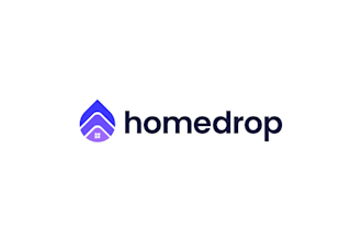 design a professional dropshipping company logo