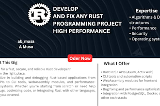 develop and fix any rust programming project high performance