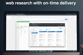 do data entry, error free results, and custom solutions