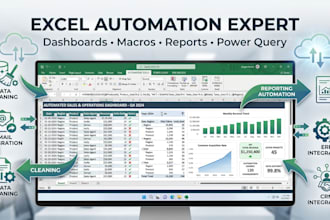 excel vba automation expert