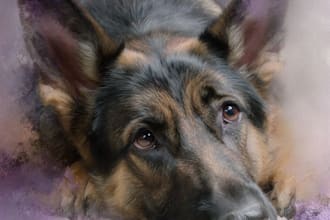 create a custom memorial pet portrait from photo