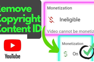 manage youtube copyright, content, id takedown support reputation monetization