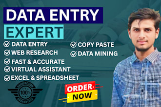 do fast and accurate typing, data entry, PDF to word