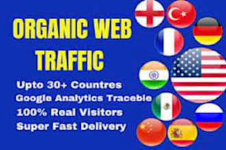 organic germany,brazil website traffic to increase sales