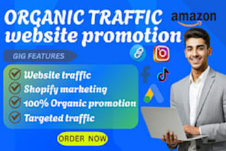 do website promotion, shopify facebook ads france,japan organic website traffic