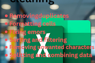 ms excel data cleaning I am an expert in microsoft excel
