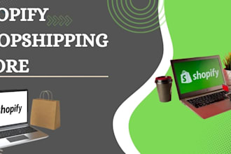 build a professional shopify dropshipping store