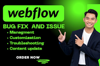 fix any webflow issues edit webflow template