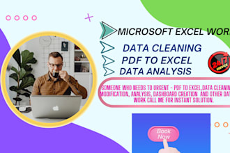 data cleaning, formatting ,data analysis in microsoft excel