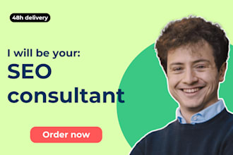 do consultancy on your SEO