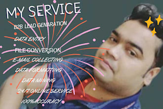 do online and offline data entry work