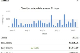 build and manage your ebay dropshipping store until you make your money back