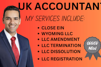 efile 24hrs your late US tax return filling 1065 1120 5472 cpa, llc registration