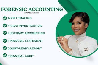 perfor forensic accounting fraud investigation financial audit asset tracing cpa