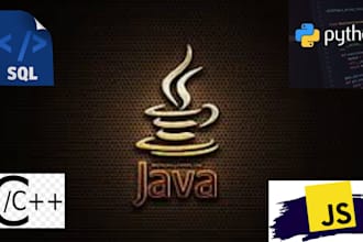do programming in python, java, c plus plus, sql and javascript