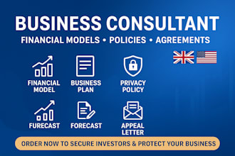 be investor ready business consultant, financial models, policies and agreements