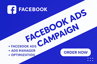 create, manage and optimized high converting facebook, instagram ads campaign