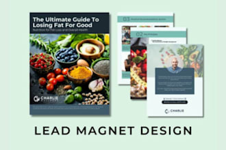 design pdf lead magnet design, pdf lead magnet, lead magnet, design brochure