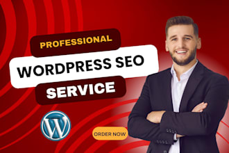 provide professional wordpress seo service