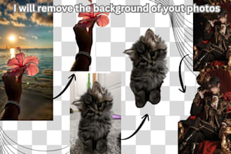 remove the background of your pictures