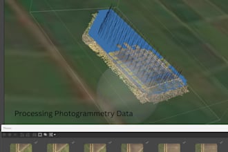 process drone images into orthomosaics and elevation models