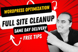 fully optimize and clean up your wordpress website