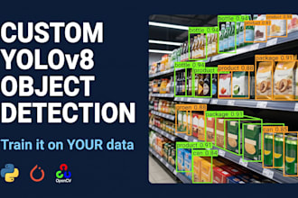 build a custom yolov8 object detection model for you