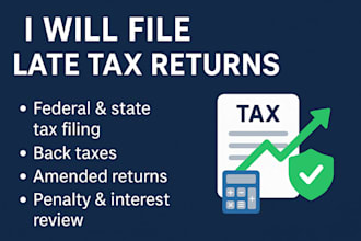 file late tax returns, back taxes and state or federal tax filings