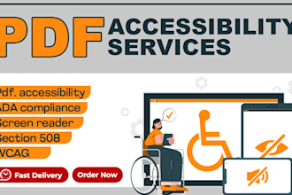 manually test the PDF and fix all the accessibility issues