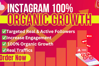 do super fast organic instagram growth