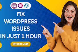 fix wordpress issues, bugs, errors, and any wp problem fast