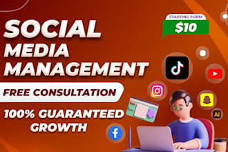 be your social media manager, social media account create, marketing manager