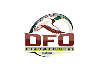 create attractive and imagination duck logo design