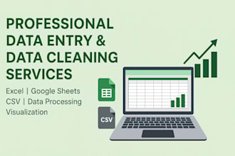 do accurate data entry, data mining, and data processing