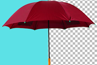 precise background removal, photo editing, and image cutout