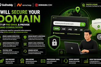 secure your domain, set up pro email, and provide brand consultation
