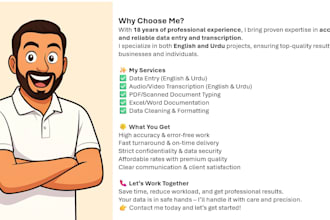 transcribe and translate data professionally