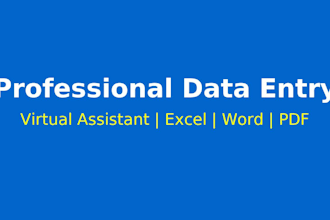 accurate data entry copy paste excel typing