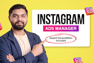 set up facebook and instagram ads for leads and sales