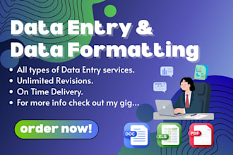do fast and error free data entry and data formatting