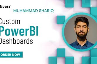 build professional power bi reports and dashboards