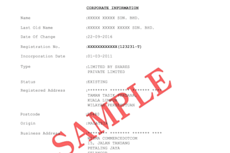 conduct official company background searches in malaysia