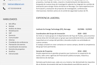 translate technical template or resume
